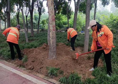 秋季移植添新綠，精細(xì)養(yǎng)護(hù)煥新顏 樹木種植指南