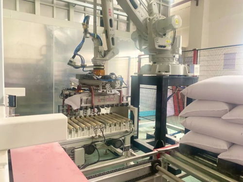 泖港糧庫(kù)完成設(shè)備改造提升工程，實(shí)現(xiàn)全流程自動(dòng)化